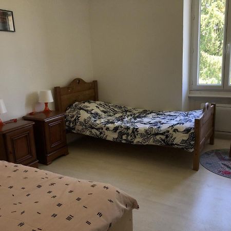 Chambres Individuelles Avec Partie Commune Ou Logement Entier Si Disponible Via Rhona Vulbens Bagian luar foto